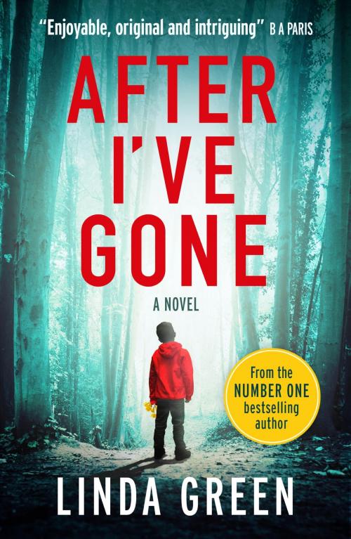 Cover of the book After I've Gone by Linda Green, Quercus Publishing