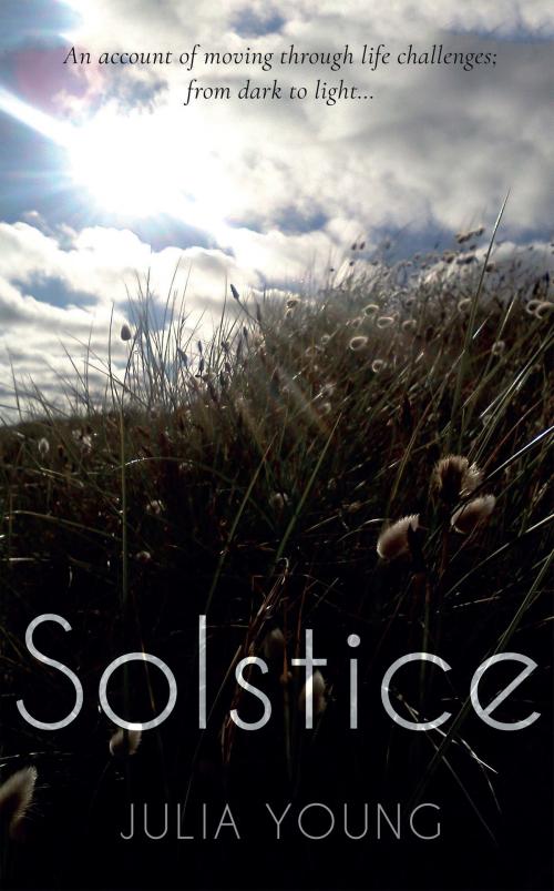 Cover of the book Solstice by Julia Young, Troubador Publishing Ltd