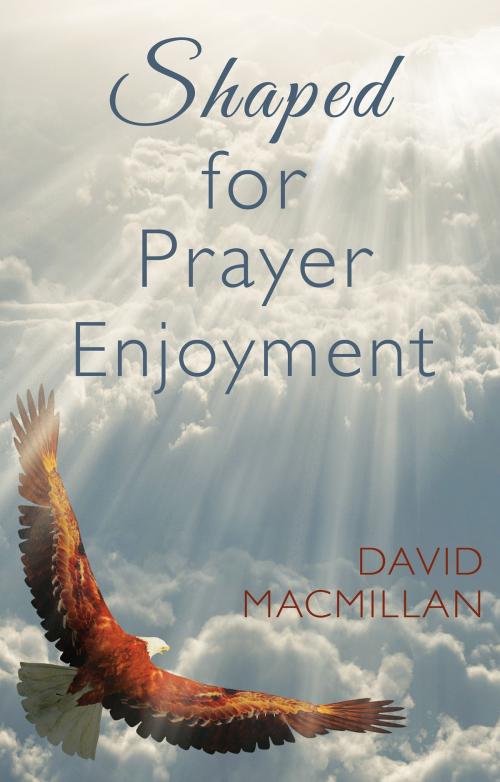 Cover of the book Shaped for Prayer Enjoyment by David Macmillan, Troubador Publishing Ltd
