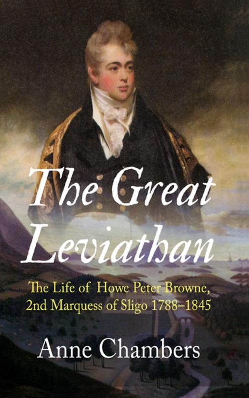 Cover of the book The Great Leviathan by Anne Chambers, New Island Books