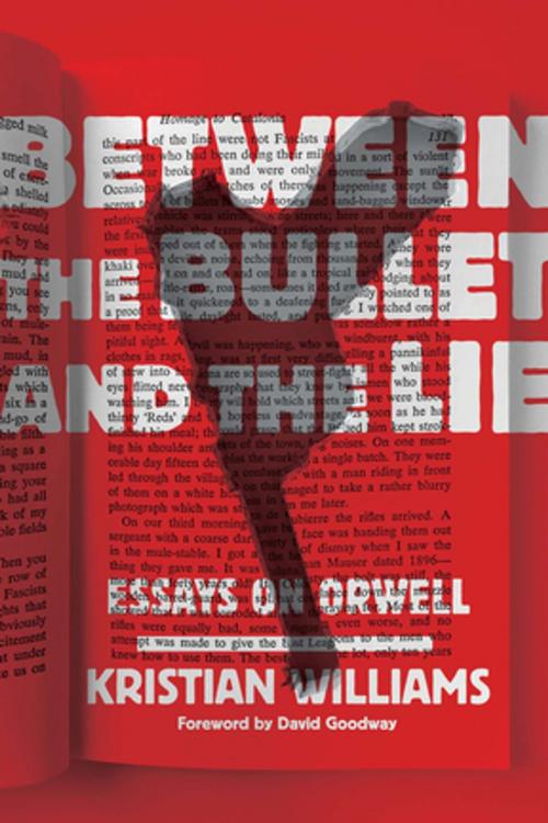 Cover of the book Between the Bullet and the Lie by Kristian Williams, AK Press