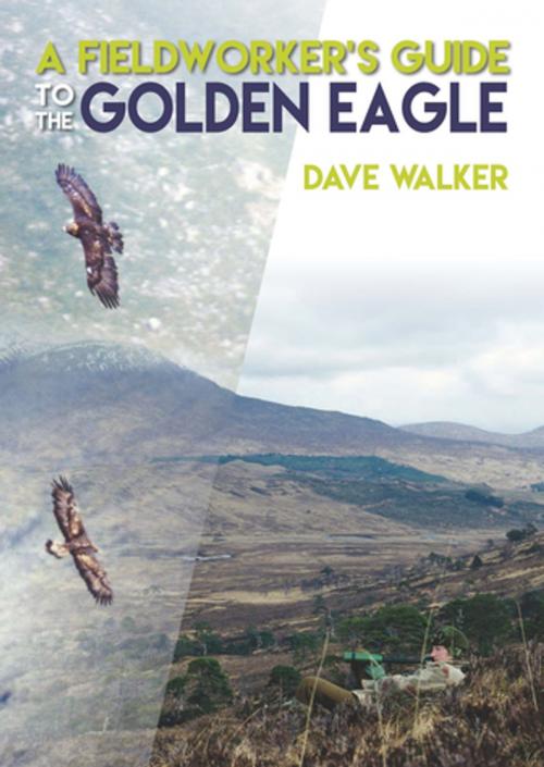 Cover of the book A Fieldworker's Guide to the Golden Eagle by Dave Walker, Whittles Publishing