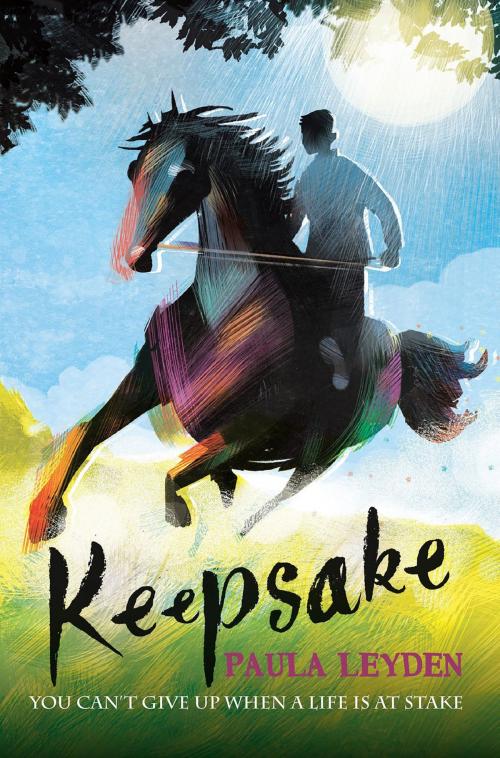 Cover of the book Keepsake by Paula Leyden, Little Island Books