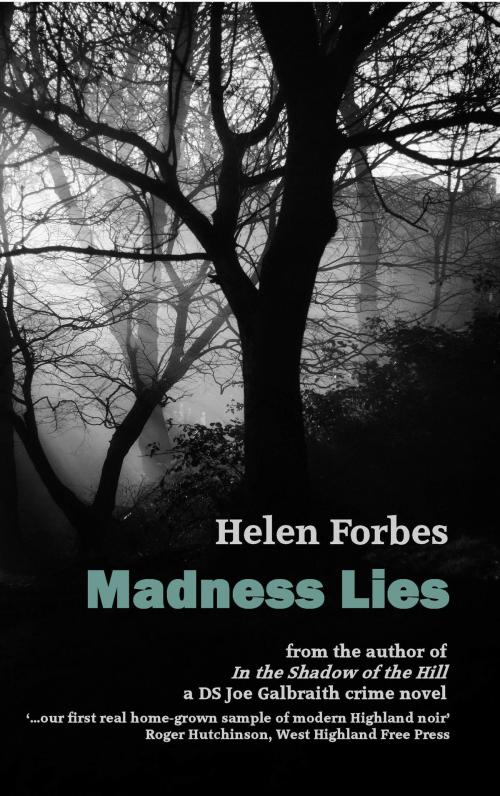 Cover of the book Madness Lies by Helen Forbes, ThunderPoint Publishing Ltd.