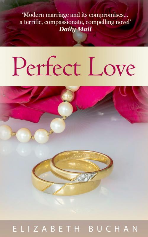 Cover of the book Perfect Love by Elizabeth Buchan, eBook Partnership