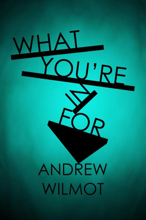 Cover of the book What You're in For by Andrew Wilmot, Found Press Media