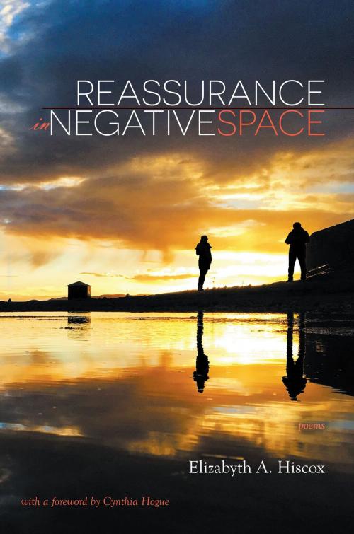 Cover of the book Reassurance in Negative Space by Elizabyth Hiscox, Able Muse Press
