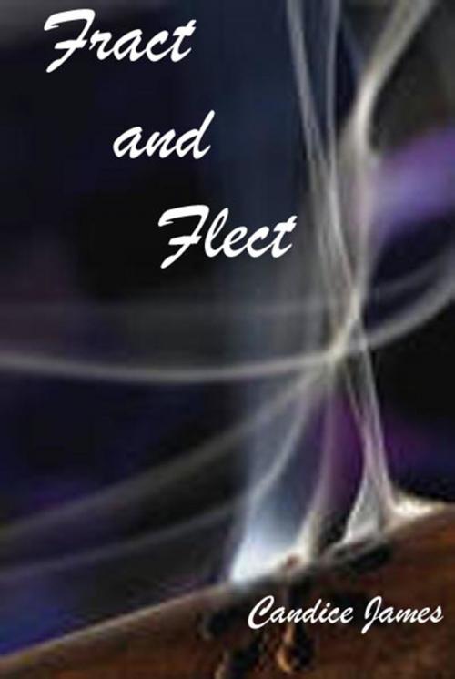 Cover of the book Fract and Flect by Candice James, Silver Bow Publishing