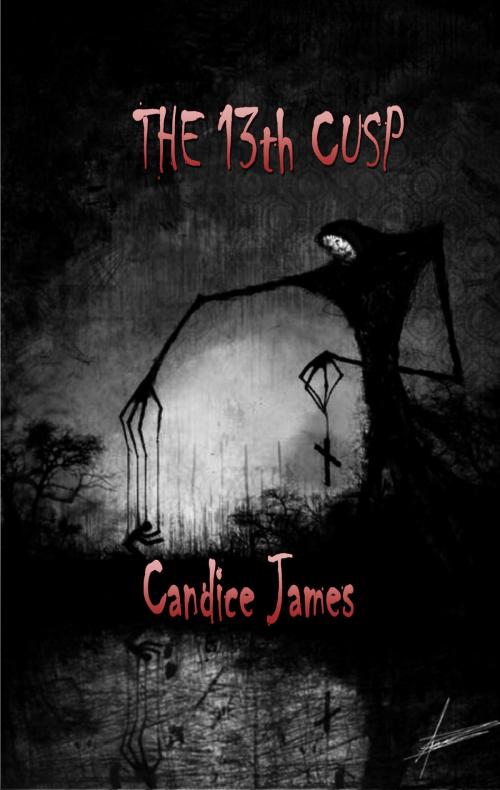 Cover of the book The 13th Cusp by Candice James, Silver Bow Publishing