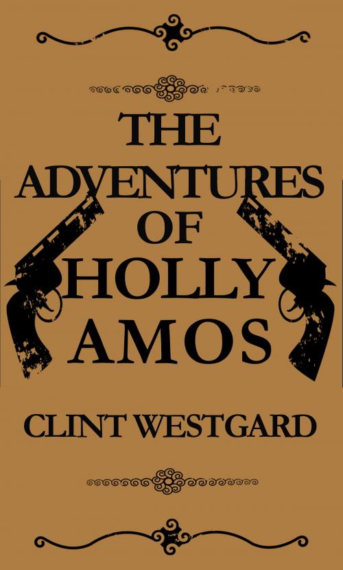Cover of the book The Adventures of Holly Amos by Clint Westgard, Lost Quarter Books