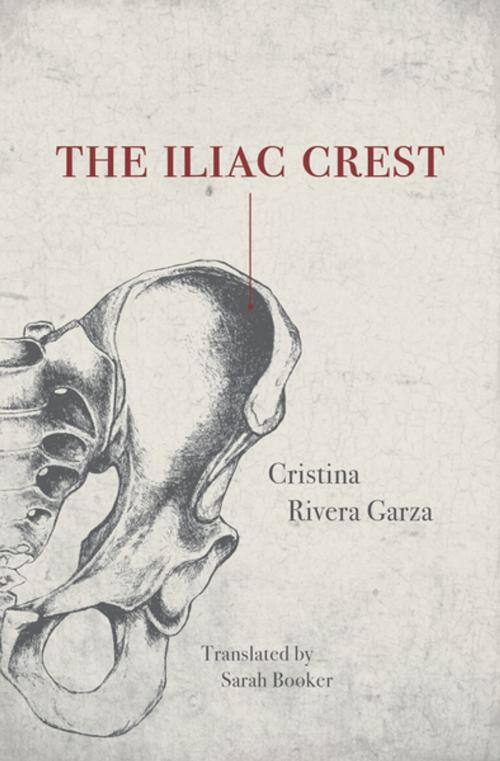 Cover of the book The Iliac Crest by Cristina Rivera Garza, The Feminist Press at CUNY
