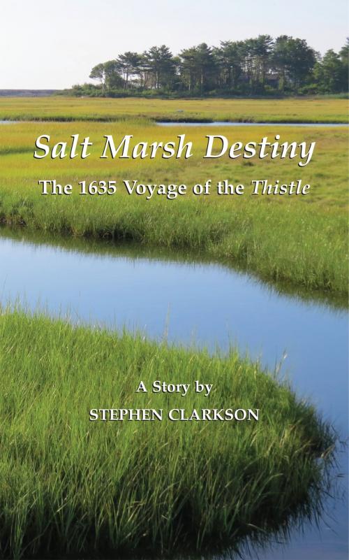 Cover of the book Salt Marsh Destiny by Stephen Clarkson, Great Life Press