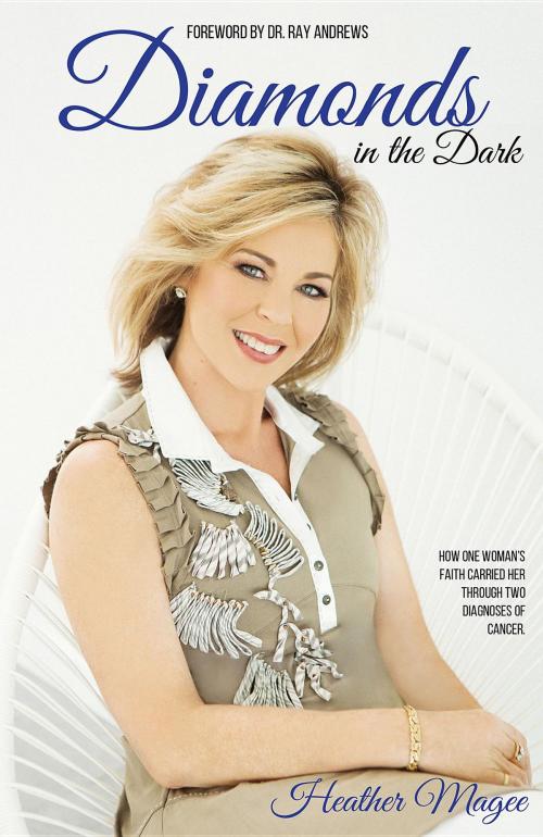 Cover of the book Diamonds in the Dark by Heather Magee, Higgins Publishing