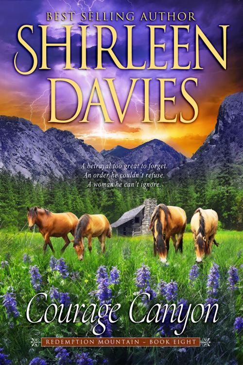 Cover of the book Courage Canyon by Shirleen Davies, Avalanche Ranch Press LLC