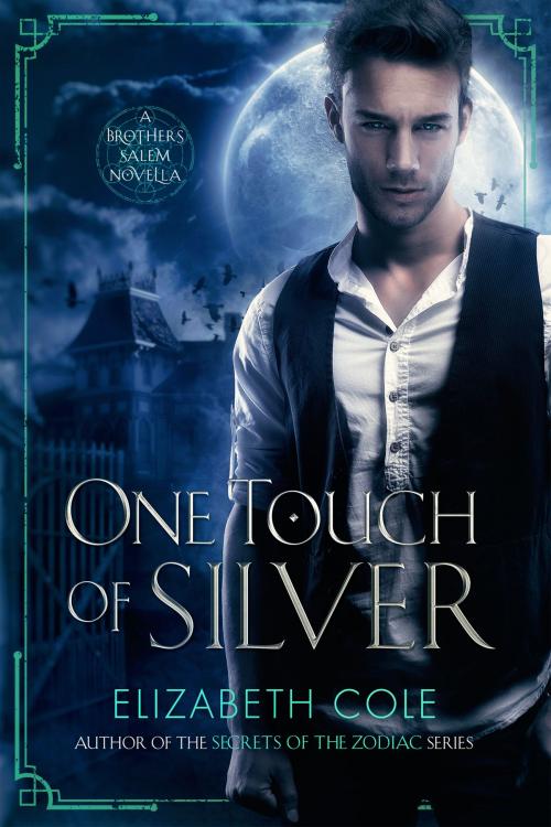 Cover of the book One Touch of Silver by Elizabeth Cole, SkySpark Books