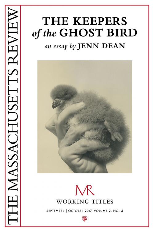 Cover of the book The Keepers of the Ghost Bird by Jenn Dean, Massachusetts Review, Inc.