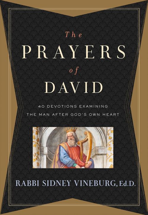 Cover of the book The Prayers of David by Rabbi Sidney Vineburg, Museum of the Bible Books, Worthy