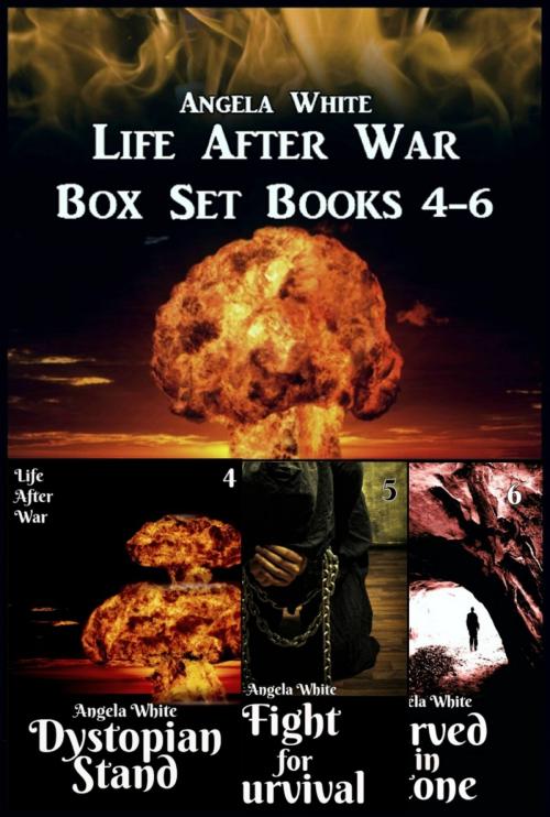 Cover of the book Life After War Box Set 4-6 by Angela White, Cloud 9 Publications