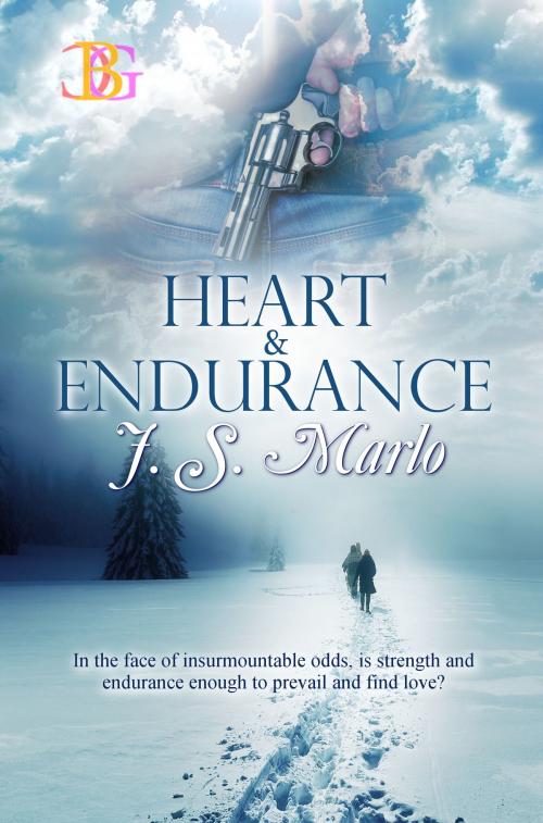 Cover of the book Heart & Endurance by J. S. Marlo, Champagne Book Group
