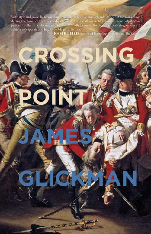 Cover of the book Crossing Point by James Glickman, Rare Bird Books