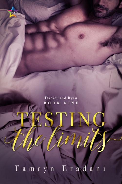 Cover of the book Testing the Limits by Tamryn Eradani, Nine Star Press