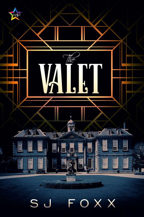 Cover of the book The Valet by S.J. Foxx, Nine Star Press