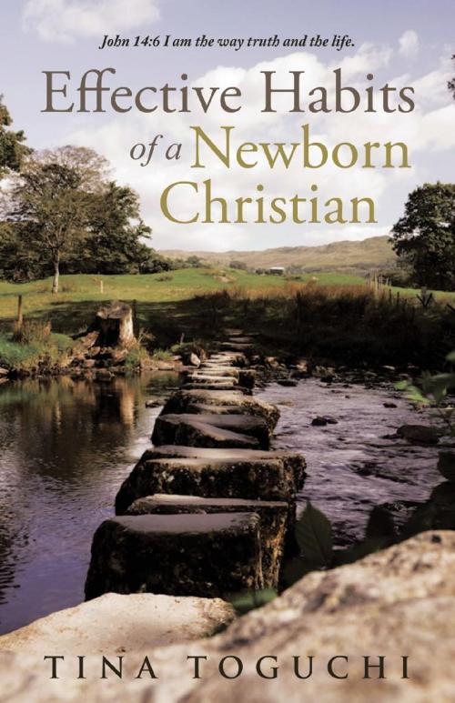 Cover of the book Effective Habits of a Newborn Christian by Tina Toguchi, WestBow Press