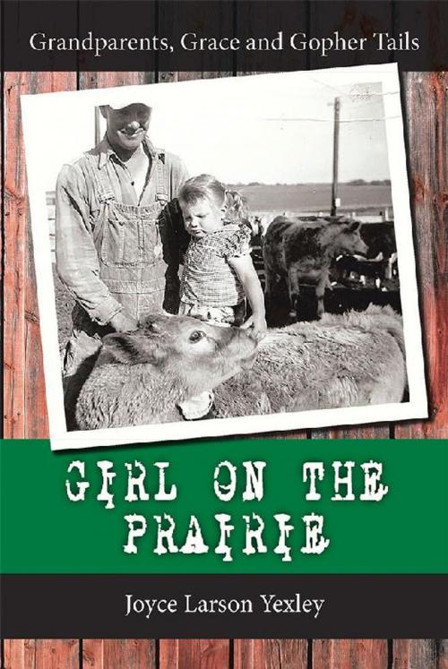 Cover of the book Girl on the Prairie by Joyce Larson Yexley, WestBow Press