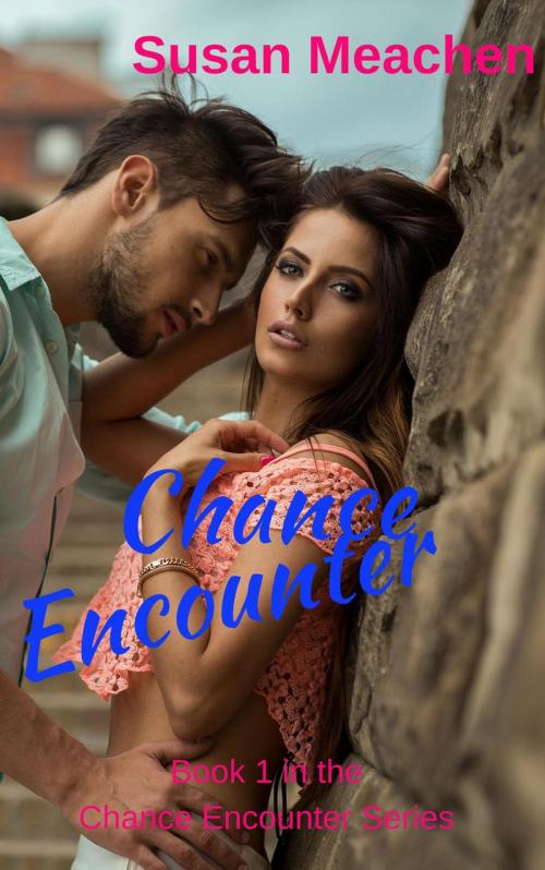 Cover of the book Chance Encounter by Susan Meachen, Susan Meachen