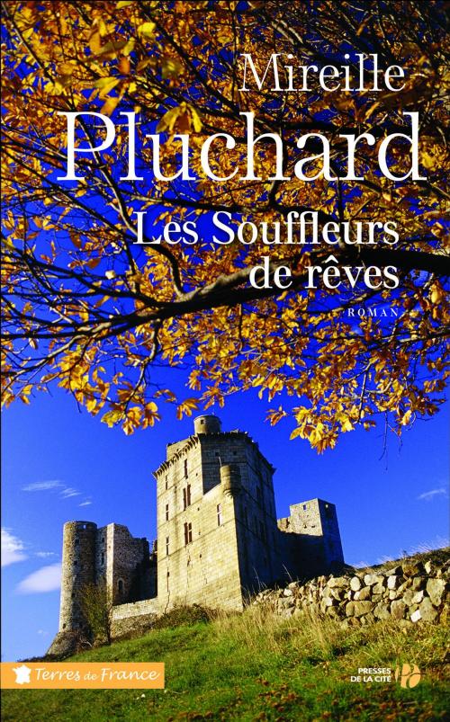 Cover of the book Les souffleurs de rêves by Mireille PLUCHARD, Place des éditeurs