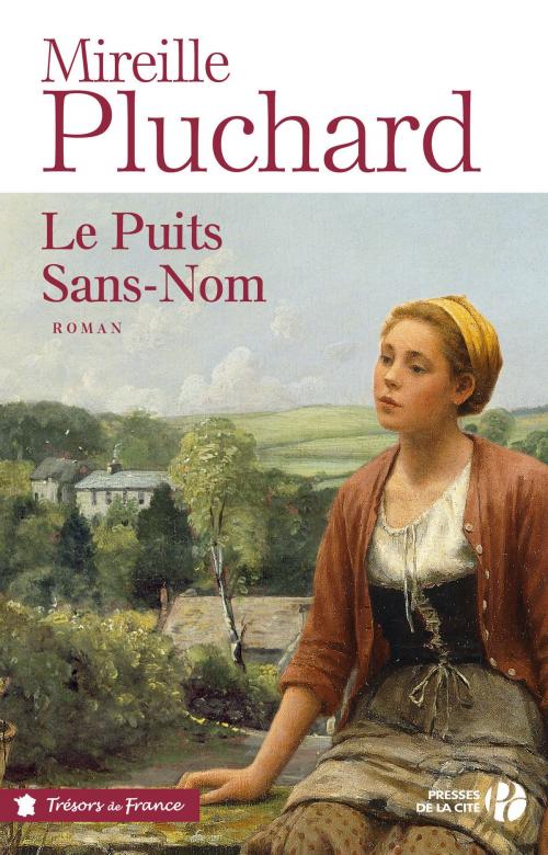 Cover of the book Le Puits Sans-Nom by Mireille PLUCHARD, Place des éditeurs