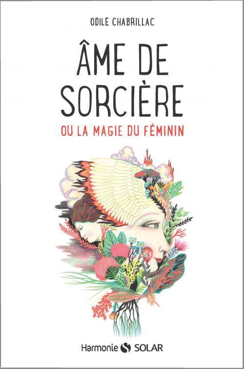 Cover of the book Âme de sorcière by Odile CHABRILLAC, edi8