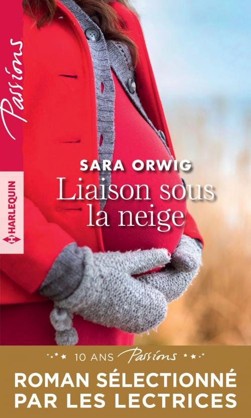 Cover of the book Liaison sous la neige by Sara Orwig, Harlequin