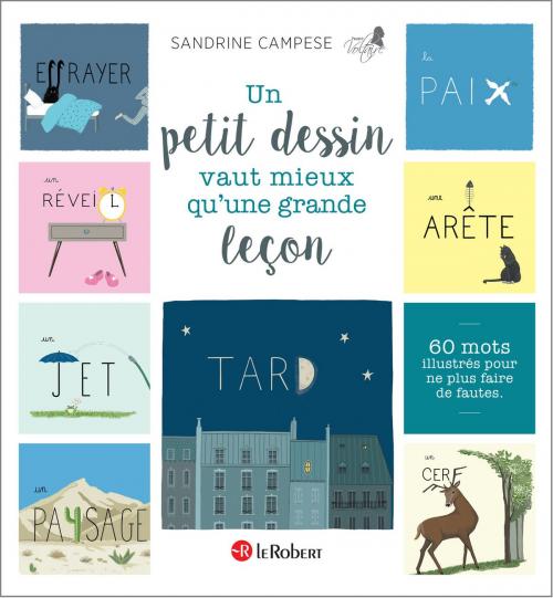 Cover of the book Un petit dessin vaut mieux qu'une grande leçon by Sandrine Campese, Nathan