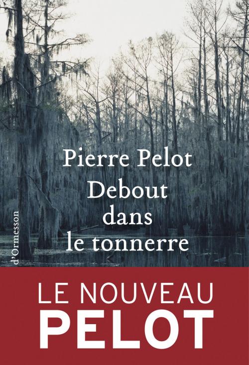 Cover of the book Debout dans le tonnerre by Pierre Pelot, Héloïse d'Ormesson