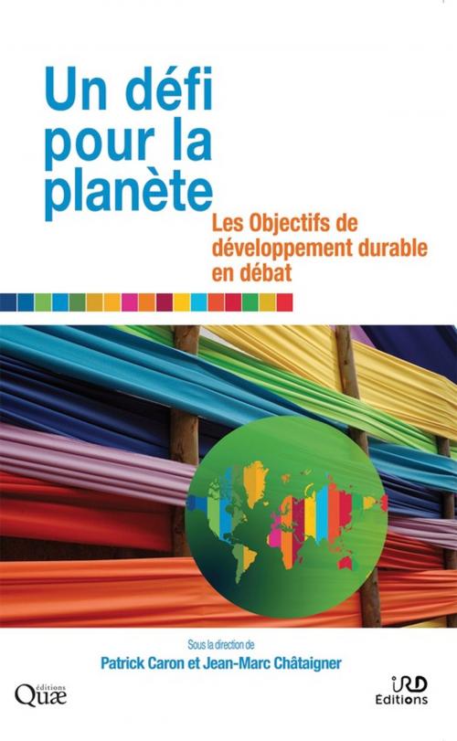 Cover of the book Un défi pour la planète by Patrick Caron, Jean-Marc Châtaigner, Quae