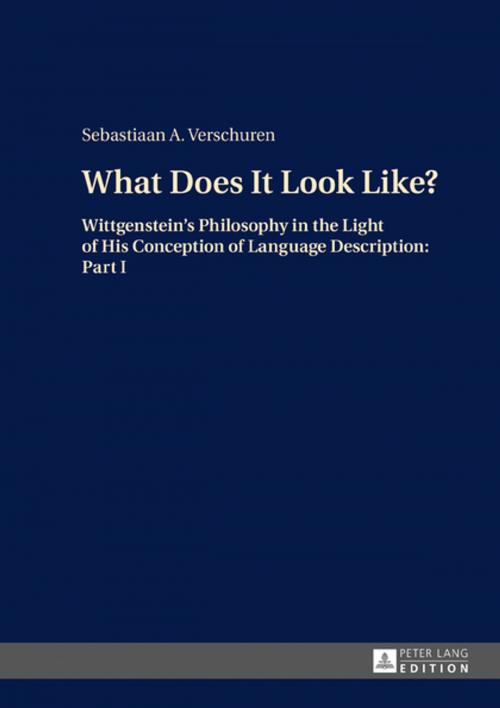 Cover of the book What Does It Look Like? by Sebastiaan A. Verschuren, Peter Lang