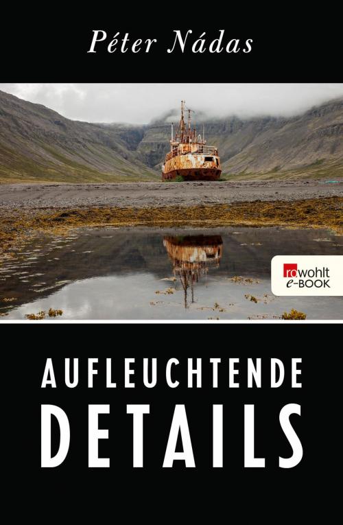 Cover of the book Aufleuchtende Details by Péter Nádas, Rowohlt E-Book