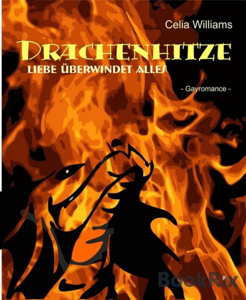 Cover of the book Drachenhitze by Celia Williams, BookRix