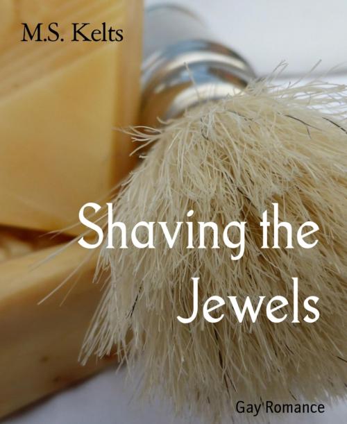 Cover of the book Shaving the Jewels by M.S. Kelts, BookRix