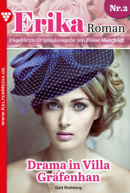 Cover of the book Erika Roman 2 – Liebesroman by Gert Rothberg, Kelter Media