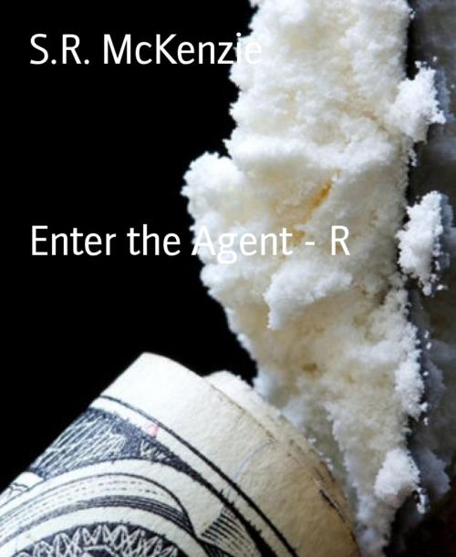 Cover of the book Enter the Agent - R by S.R. McKenzie, BookRix