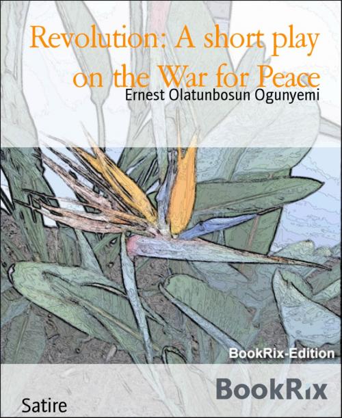 Cover of the book Revolution: A short play on the War for Peace by Ernest Olatunbosun Ogunyemi, BookRix