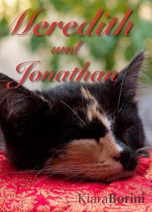 Cover of the book Meredith und Jonathan by Kiara Borini, epubli