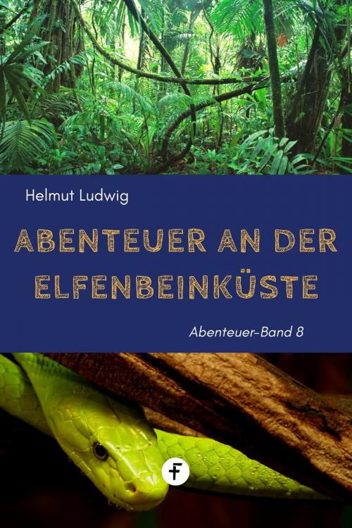 Cover of the book Abenteuer an der Elfenbeinküste by Helmut Ludwig, Folgen Verlag