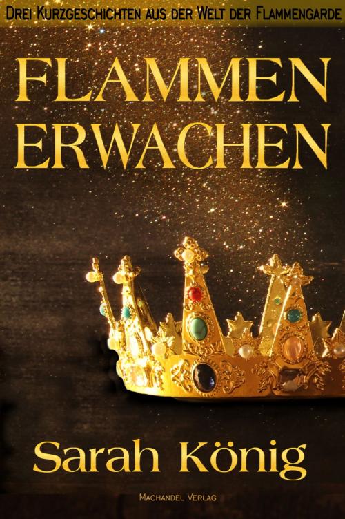 Cover of the book Flammenerwachen by Sarah König, Machandel Verlag