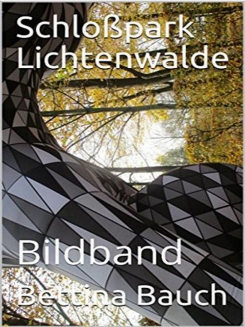Cover of the book Schloßpark Lichtenwalde by Bettina Bauch, XinXii-GD Publishing