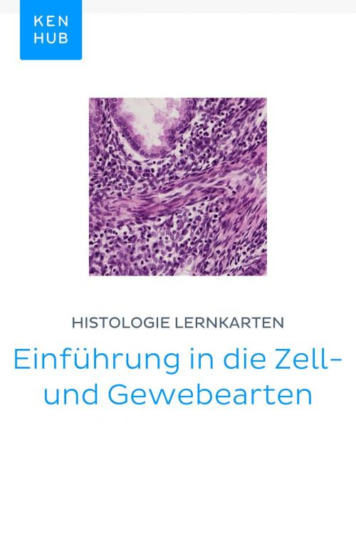 Cover of the book Histologie Lernkarten: Einführung in die Zell- und Gewebearten by Kenhub, Kenhub