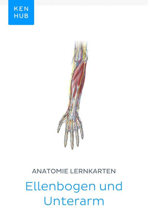 Cover of the book Anatomie Lernkarten: Ellenbogen und Unterarm by Kenhub, Kenhub