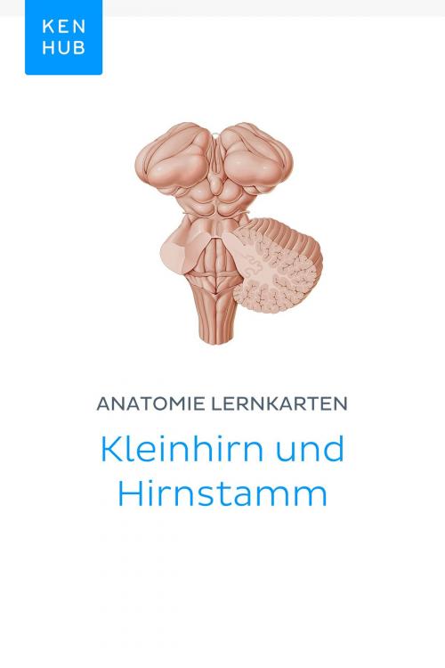 Cover of the book Anatomie Lernkarten: Kleinhirn und Hirnstamm by Kenhub, Kenhub